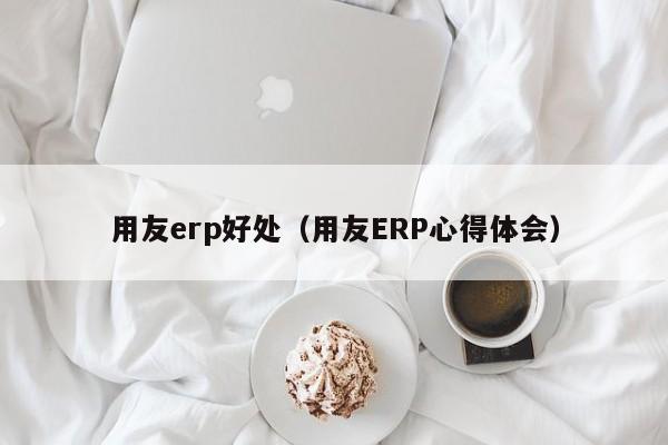 用友erp好处（用友ERP心得体会）