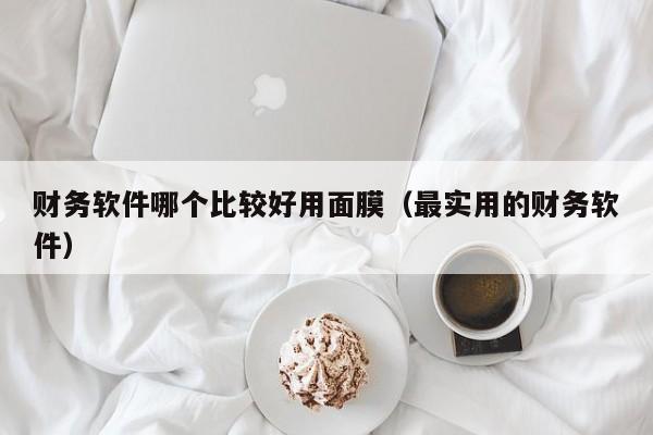 财务软件哪个比较好用面膜（最实用的财务软件）