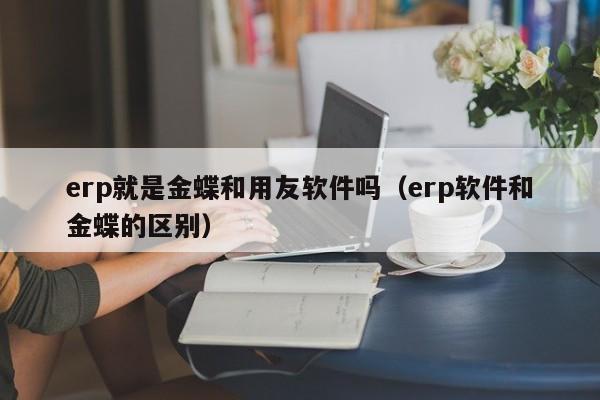 erp就是金蝶和用友软件吗（erp软件和金蝶的区别）