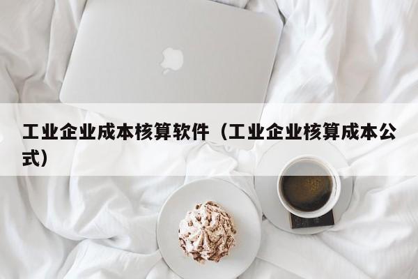 工业企业成本核算软件（工业企业核算成本公式）