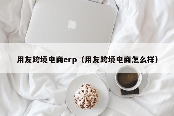 用友跨境电商erp（用友跨境电商怎么样）