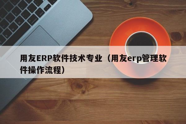 用友ERP软件技术专业（用友erp管理软件操作流程）