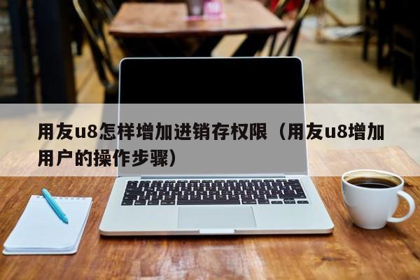 用友u8怎样增加进销存权限（用友u8增加用户的操作步骤）