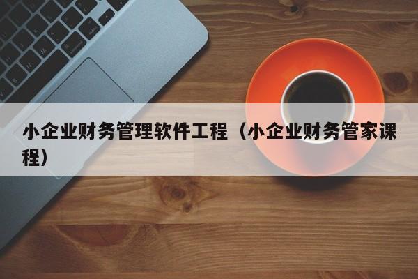 小企业财务管理软件工程（小企业财务管家课程）