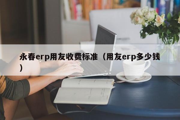 永春erp用友收费标准（用友erp多少钱）