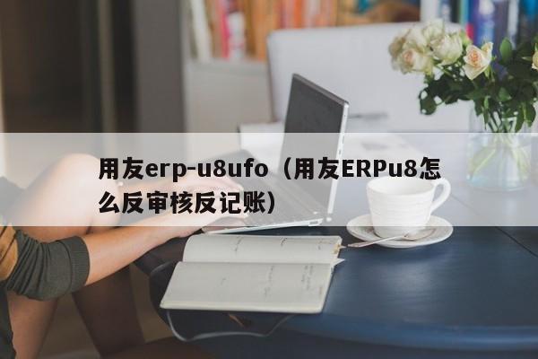 用友erp-u8ufo（用友ERPu8怎么反审核反记账）