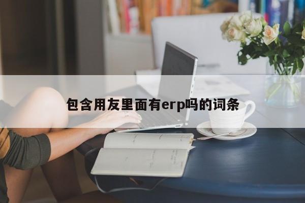 包含用友里面有erp吗的词条