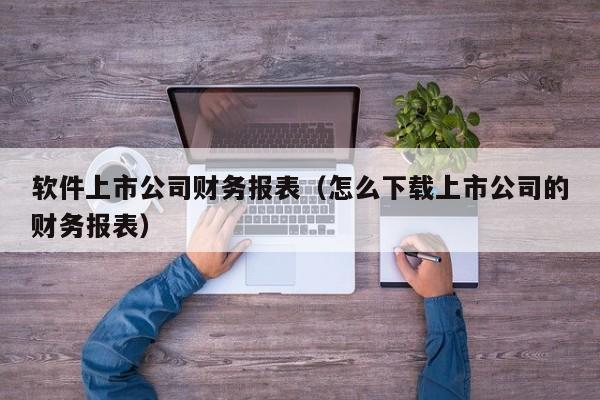 软件上市公司财务报表（怎么下载上市公司的财务报表）