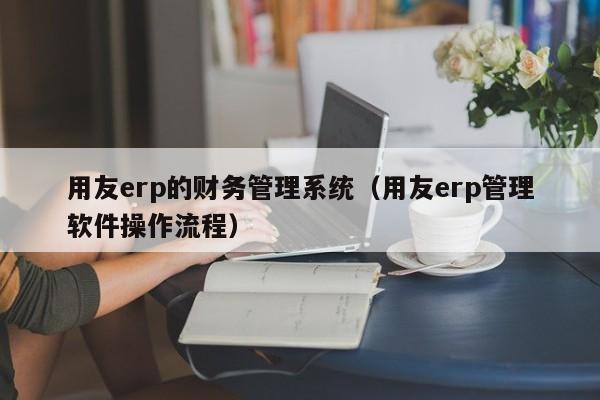 用友erp的财务管理系统（用友erp管理软件操作流程）