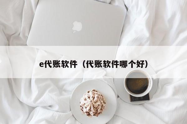 e代账软件（代账软件哪个好）