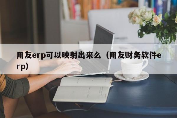 用友erp可以映射出来么（用友财务软件erp）