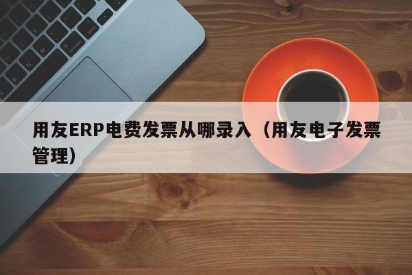 用友ERP电费发票从哪录入（用友电子发票管理）