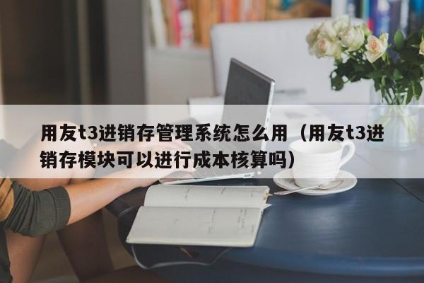 用友t3进销存管理系统怎么用（用友t3进销存模块可以进行成本核算吗）