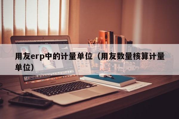 用友erp中的计量单位（用友数量核算计量单位）