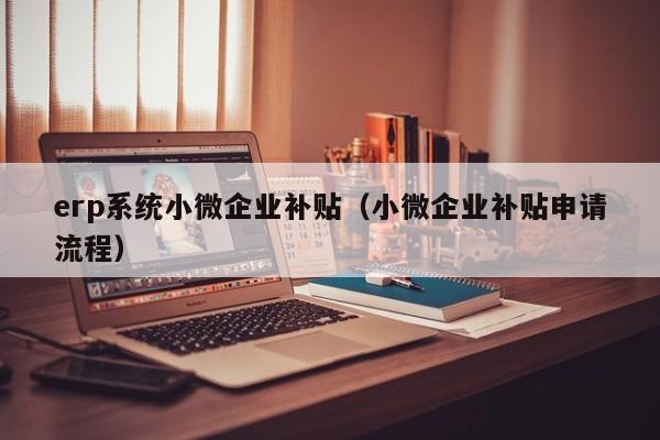 erp系统小微企业补贴（小微企业补贴申请流程）