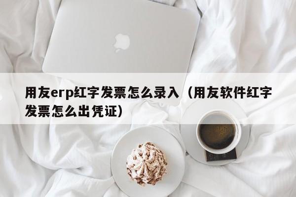 用友erp红字发票怎么录入（用友软件红字发票怎么出凭证）