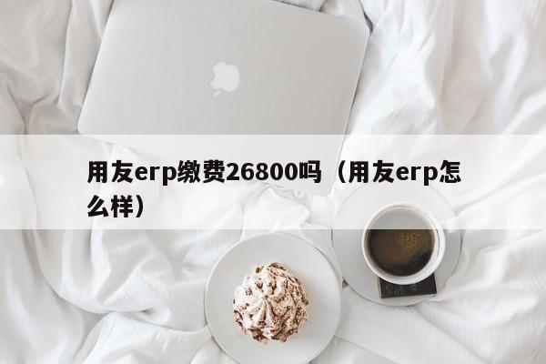 用友erp缴费26800吗（用友erp怎么样）