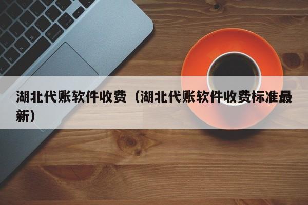 湖北代账软件收费（湖北代账软件收费标准最新）