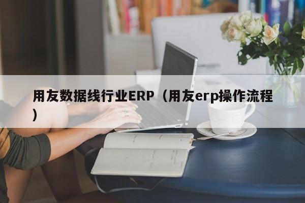 用友数据线行业ERP（用友erp操作流程）