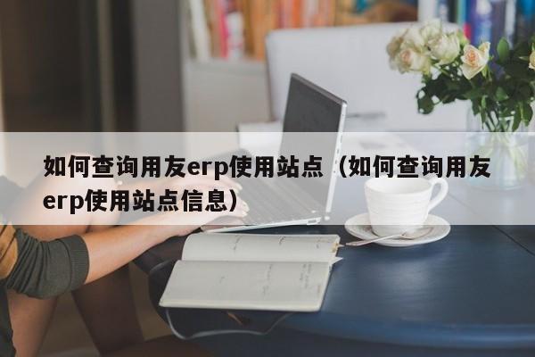 如何查询用友erp使用站点（如何查询用友erp使用站点信息）