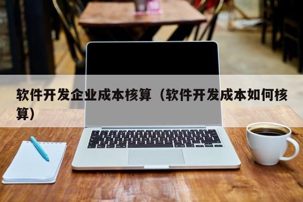 软件开发企业成本核算（软件开发成本如何核算）