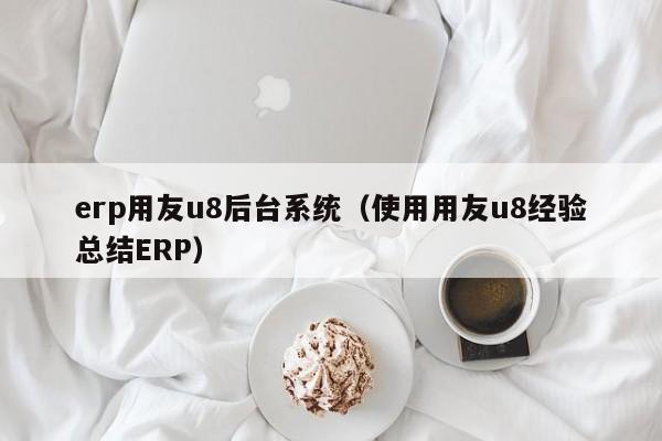 erp用友u8后台系统（使用用友u8经验总结ERP）