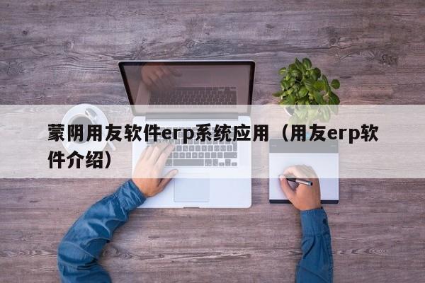 蒙阴用友软件erp系统应用（用友erp软件介绍）