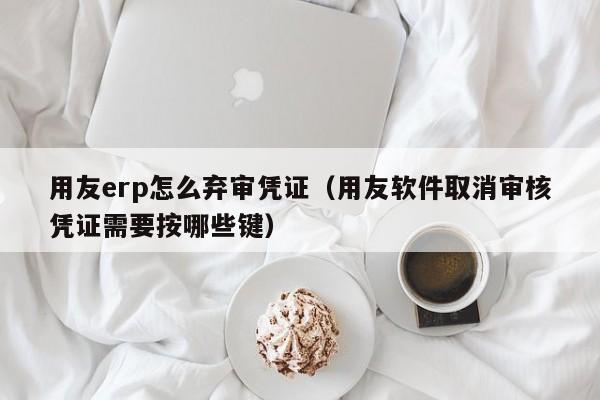 用友erp怎么弃审凭证（用友软件取消审核凭证需要按哪些键）