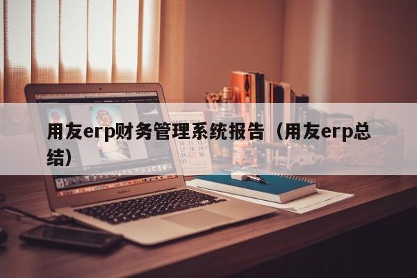 用友erp财务管理系统报告（用友erp总结）