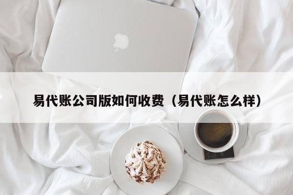 易代账公司版如何收费（易代账怎么样）