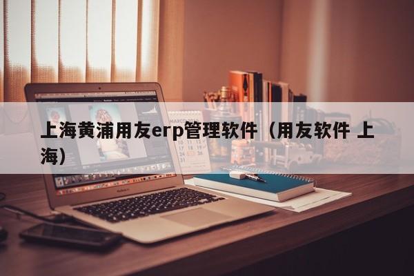 上海黄浦用友erp管理软件（用友软件 上海）