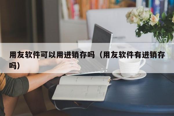 用友软件可以用进销存吗（用友软件有进销存吗）