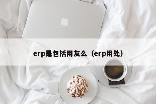 erp是包括用友么（erp用处）