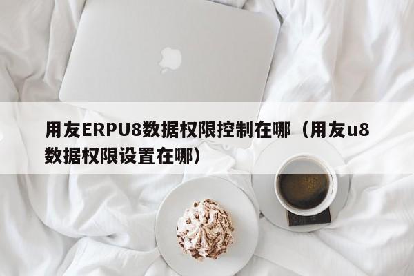 用友ERPU8数据权限控制在哪（用友u8数据权限设置在哪）