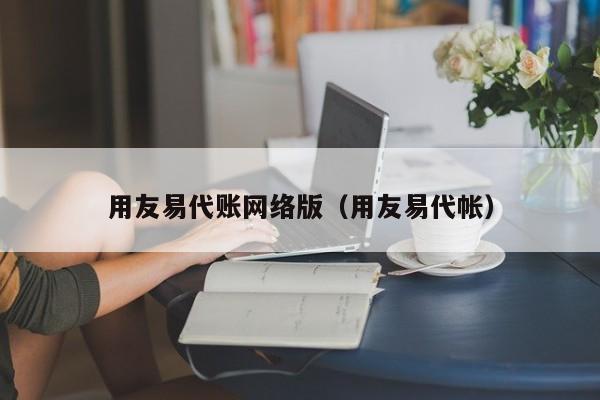 用友易代账网络版（用友易代帐）