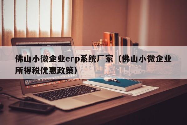 佛山小微企业erp系统厂家（佛山小微企业所得税优惠政策）