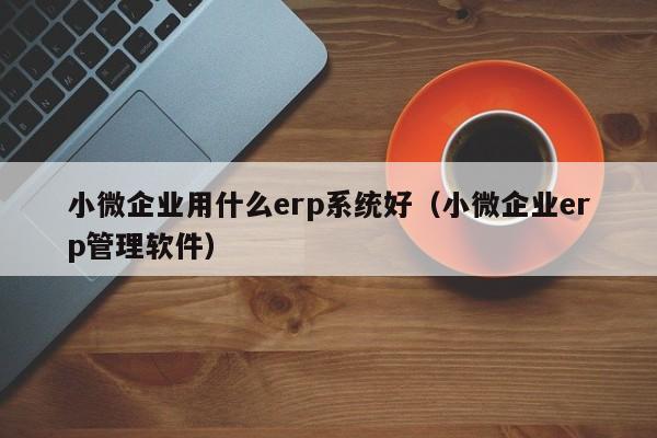 小微企业用什么erp系统好（小微企业erp管理软件）