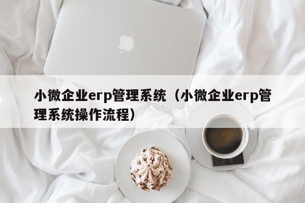 小微企业erp管理系统（小微企业erp管理系统操作流程）