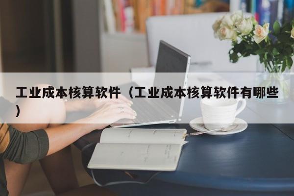 工业成本核算软件（工业成本核算软件有哪些）