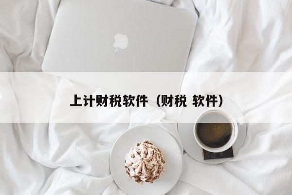 上计财税软件（财税 软件）