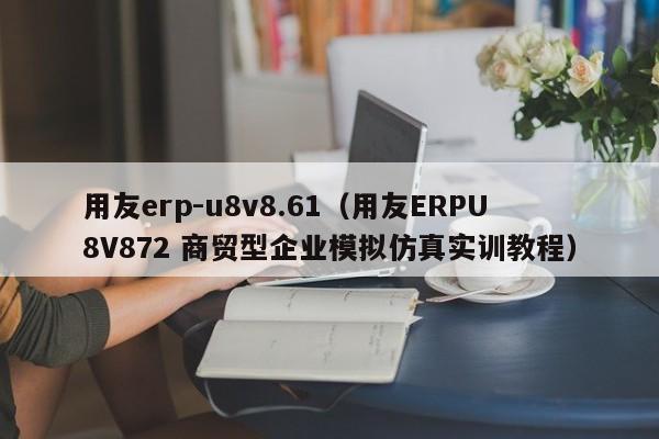 用友erp-u8v8.61（用友ERPU8V872 商贸型企业模拟仿真实训教程）