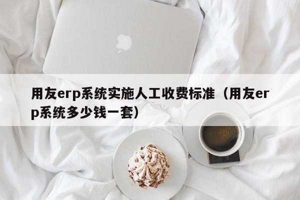 用友erp系统实施人工收费标准（用友erp系统多少钱一套）