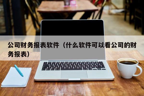 公司财务报表软件（什么软件可以看公司的财务报表）