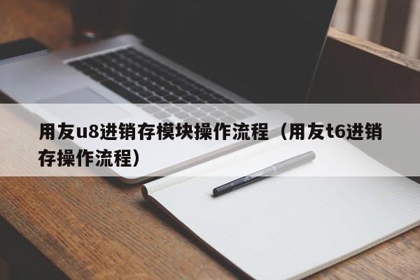 用友u8进销存模块操作流程（用友t6进销存操作流程）