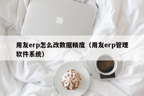 用友erp怎么改数据精度（用友erp管理软件系统）