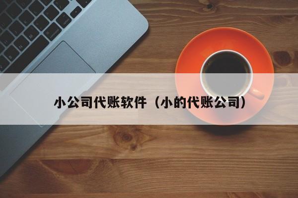 小公司代账软件（小的代账公司）