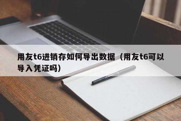 用友t6进销存如何导出数据（用友t6可以导入凭证吗）