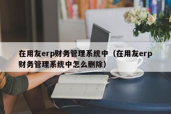 在用友erp财务管理系统中（在用友erp财务管理系统中怎么删除）