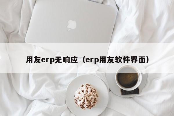 用友erp无响应（erp用友软件界面）