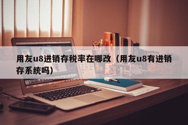 用友u8进销存税率在哪改（用友u8有进销存系统吗）